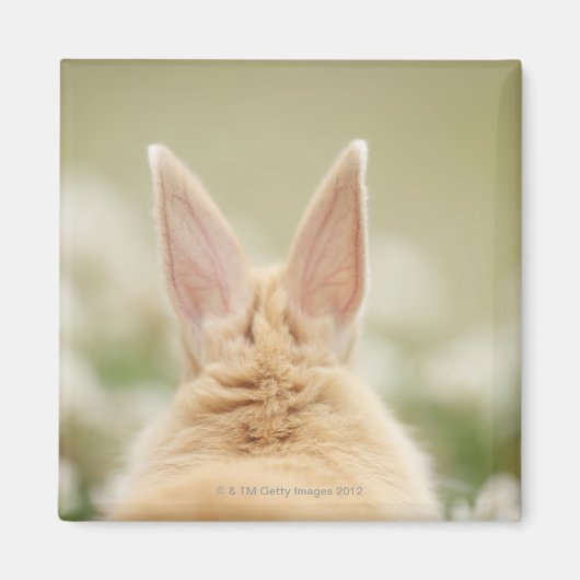 ユキノシタ2 マグネット (正面)