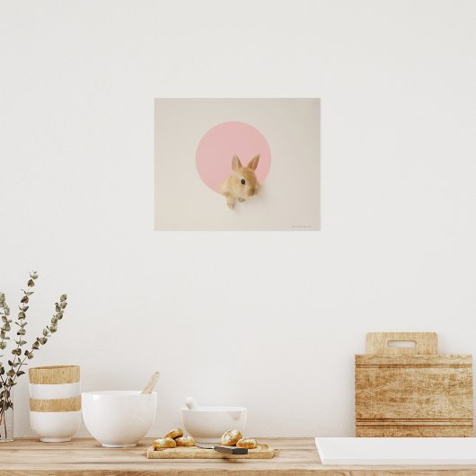 ユキノシタ3 ポスター (キッチン)