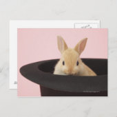 ユキノシタ ポストカード (正面/裏面)