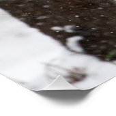 ユキヒョウかわいい子 ポスター (コーナー)