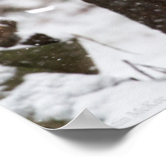 ユキヒョウかわいい子 ポスター (角)