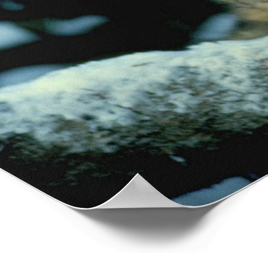 ユキヒョウかわいい子 ポスター (角)