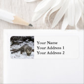 ユキヒョウかわいい子 ラベル (インサイチュ)