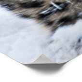 ユキヒョウのうなり ポスター (角)