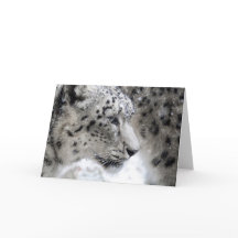 ユキヒョウのプロファイルポートレート