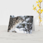 ユキヒョウのプロフィール カード (黄色い花)