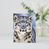 ユキヒョウのポートレートアップ ポストカード (スタンド正面)