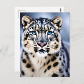 ユキヒョウのポートレートアップ ポストカード (正面/裏面)