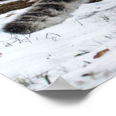 ユキヒョウの仔ストーカー鳥 ポスター (角)