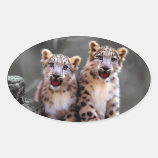 ユキヒョウの仔 楕円形シール (正面)