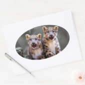 ユキヒョウの仔 楕円形シール (封筒)