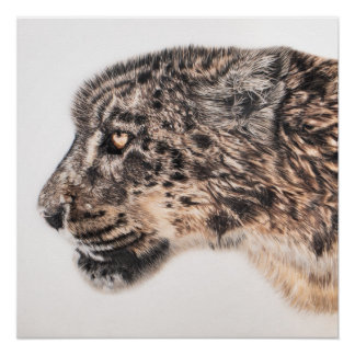 ユキヒョウの壁ポスター ポスター