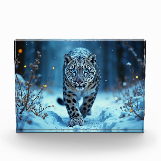 ユキヒョウの威厳のある冬の青い目の捕食者 フォトブロック (正面)