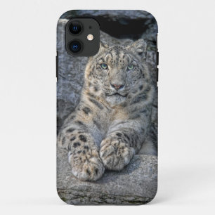ユキヒョウの美しい(前部の足両方とも) iPhone 11 ケース