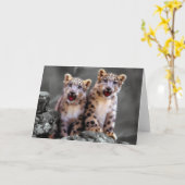 ユキヒョウカブス カード (黄色い花)