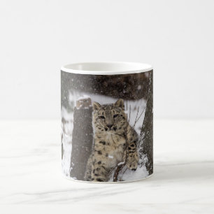 ユキヒョウカブス コーヒーマグカップ
