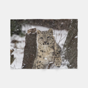 ユキヒョウカブス フリースブランケット