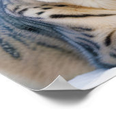 ユキヒョウ動物自然野生動物愛情愛 ポスター (角)