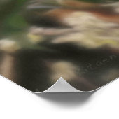 ユキヒョウ春の花 ポスター (角)