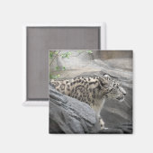 ユキヒョウ磁石 マグネット (正面/裏面)