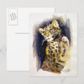 ユキヒョウ葉書 ポストカード (正面/裏面)