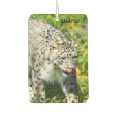 ユキヒョウ車の空気清浄機 カーエアーフレッシュナー (正面)