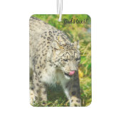 ユキヒョウ車の空気清浄機 カーエアーフレッシュナー (裏面)