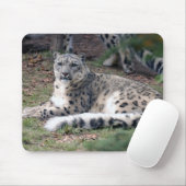 ユキヒョウ26 マウスパッド (マウス)