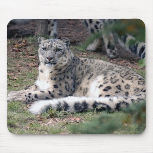 ユキヒョウ26 マウスパッド (正面)