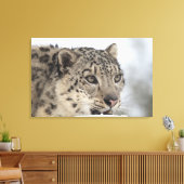 ユキヒョウ（ウンシアウンシア） キャンバスプリント (インサイチュ (リビング))
