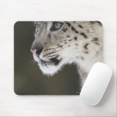 ユキヒョウ（ウンシアウンシア） マウスパッド (マウス)
