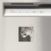 ユキヒョウ（ウンシアウンシア） マグネット (インサイチュ (食洗機))