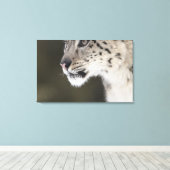 ユキヒョウ（ウンシアウンシア） 2 キャンバスプリント (インサイチュ (ウッドフロア))
