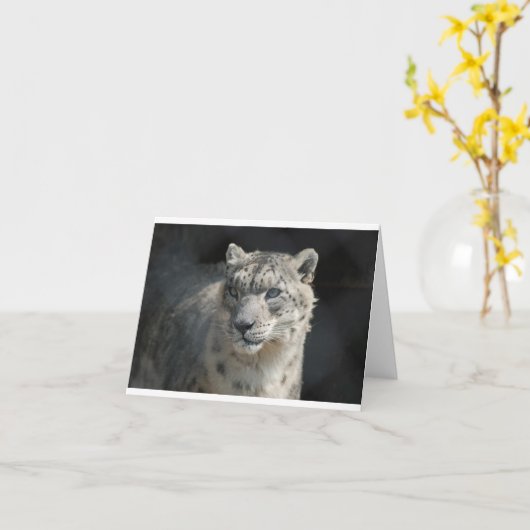 ユキヒョウ カード (黄色い花)