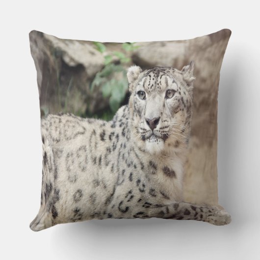 ユキヒョウ クッション (裏面)