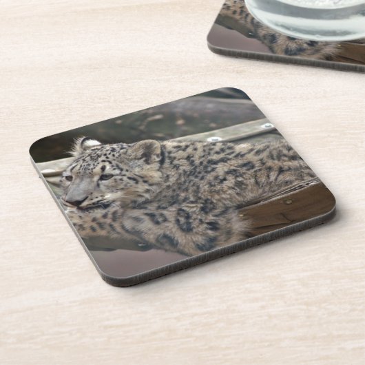 ユキヒョウ コースター (左側)