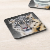 ユキヒョウ コースター (左側)