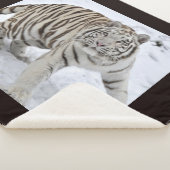 ユキヒョウ シェルパブランケット (3/4)