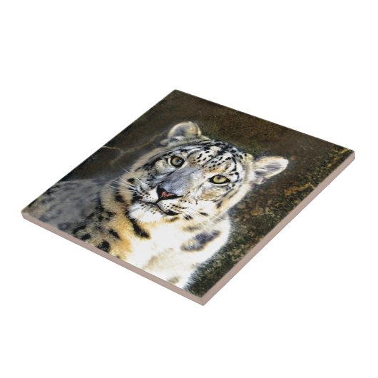 ユキヒョウ タイル (側面)