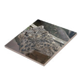 ユキヒョウ タイル (側面)