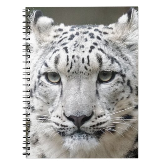 ユキヒョウ ノートブック (正面)