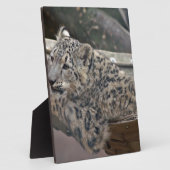 ユキヒョウ フォトプラーク (側面)