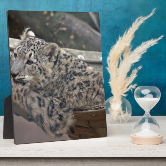 ユキヒョウ フォトプラーク (側面)