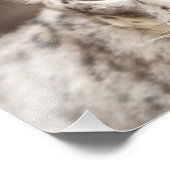 ユキヒョウ フォトプリント            (角)