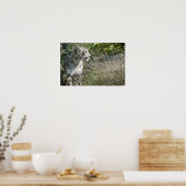 ユキヒョウ ポスター (キッチン)