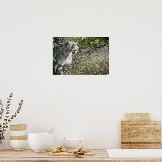 ユキヒョウ ポスター (キッチン)