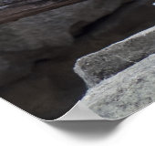 ユキヒョウ ポスター (角)