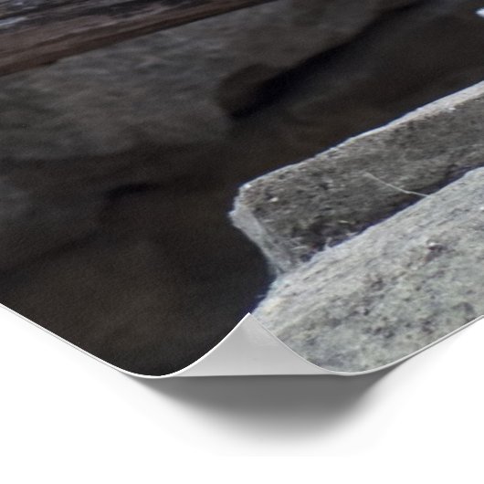 ユキヒョウ ポスター (角)