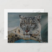 ユキヒョウ ポストカード (正面/裏面)