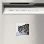 ユキヒョウ マグネット (インサイチュ (食洗機))